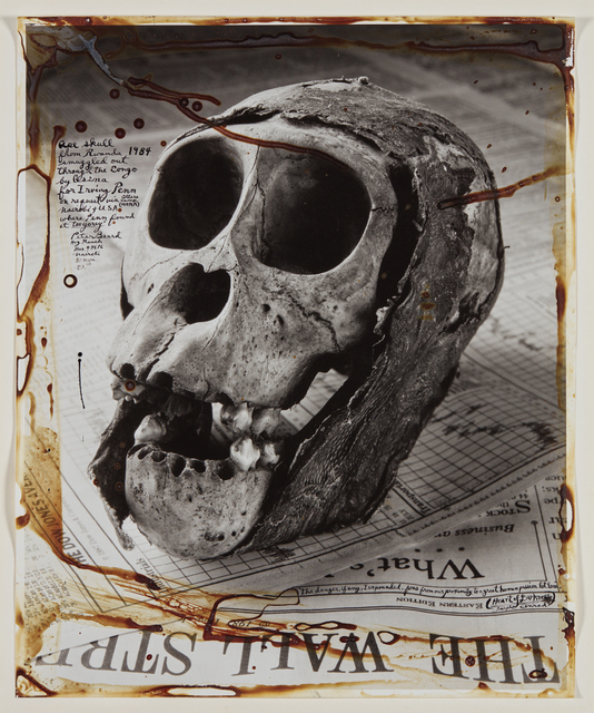 Peter Beard, ‘Ape Skull from Rwanda’, Photographed in 1984 and executed later, Phillips
