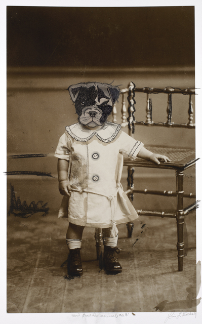 Lina L. Baker, ‘Don’t Feed the Animals no 8’, 2015, Galleri Duerr
