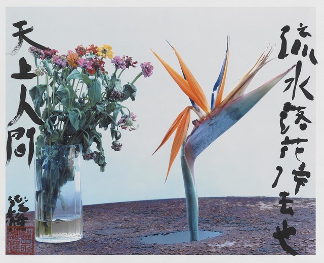 Nobuyoshi Araki, ‘SHIKIKEI 色景’, 2018, art space AM