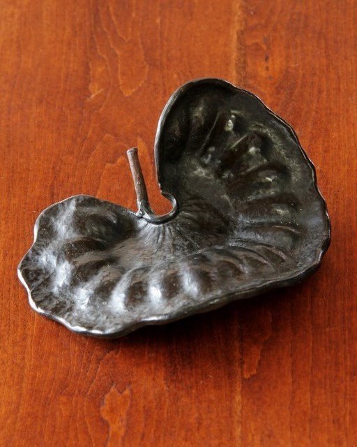 William Neil, ‘Ear Pod / Enterolobium Cyclocarpum’, de Vera