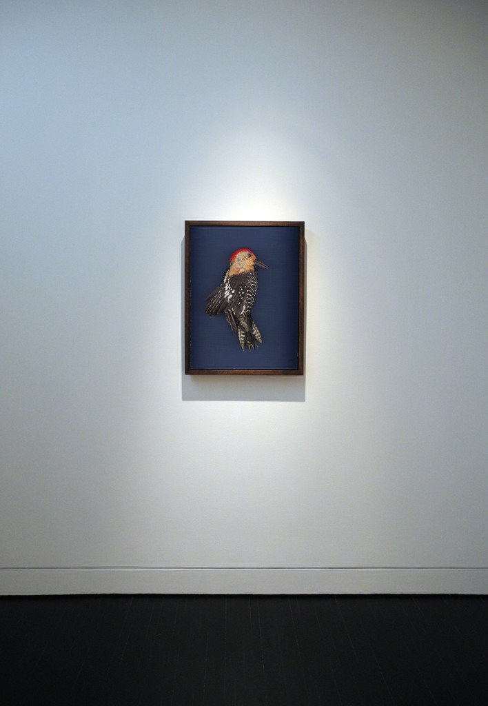 Colby Caldwell: how to survive your own death, January 16, 2016 - March 05, 2016, HEMPHILL Fine Arts Colby Caldwell: how to survive your own death, January 16, 2016 - March 05, 2016, HEMPHILL Fine Arts