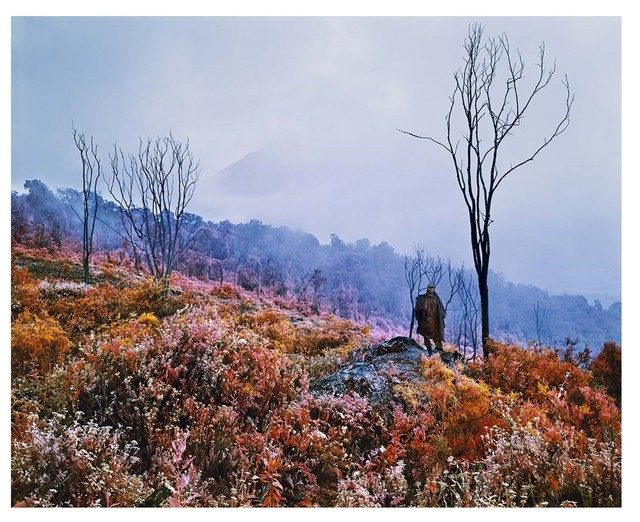 Richard Mosse, ‘Nineteenth Century Man’, 2011, Print, Digital c-print, Contemporary Art Museum St. Louis Benefit Auction