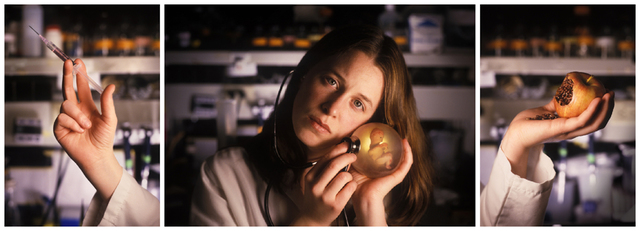 Margot Quan Knight, ‘Lab (triptych)’, 2005, Photography, Lambda print on aluminium, Gagliardi e Domke