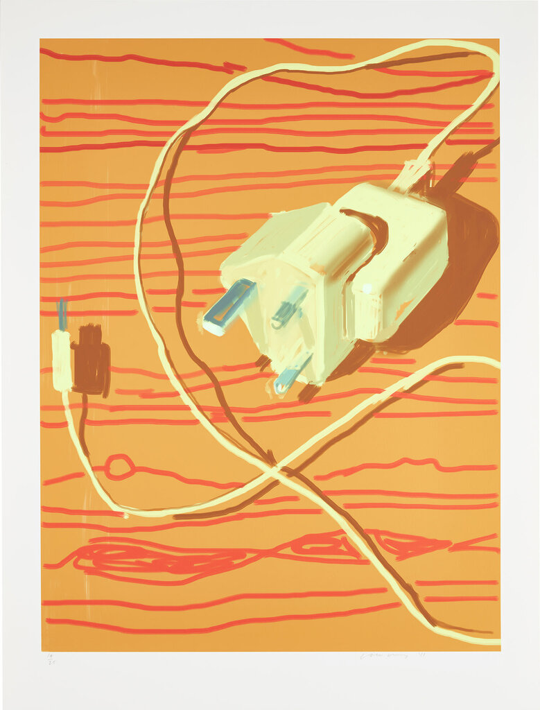 David Hockney - Plug in for the Next Generation (684)