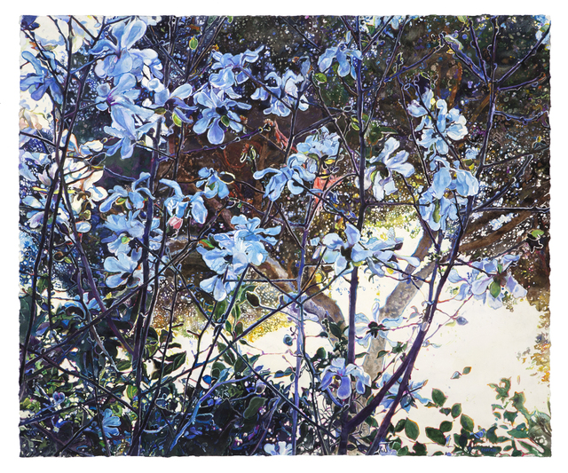 Joseph Raffael, ‘Moving Toward the Light III’, 2015, Painting, Watercolor on paper, Nancy Hoffman Gallery