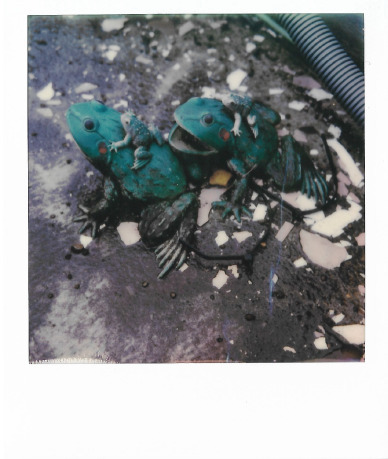 Nobuyoshi Araki, ‘Untitled ’, 2017-2019, Galerie &CO119