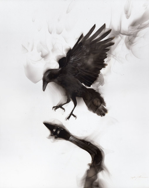 Crow by Boria Sax