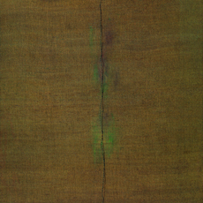 Sung Hy Shin