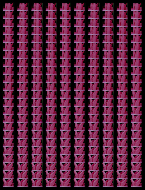 Antoine D'Agata, ‘Sans titre, Pink’, 2016, Galerie Les filles du calvaire