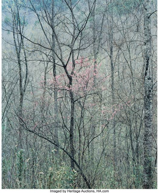 Eliot Porter, ‘Intimate Landscapes (four photographs)’, 1957-1977, Photography, Dye-transfer, 1978, Heritage Auctions