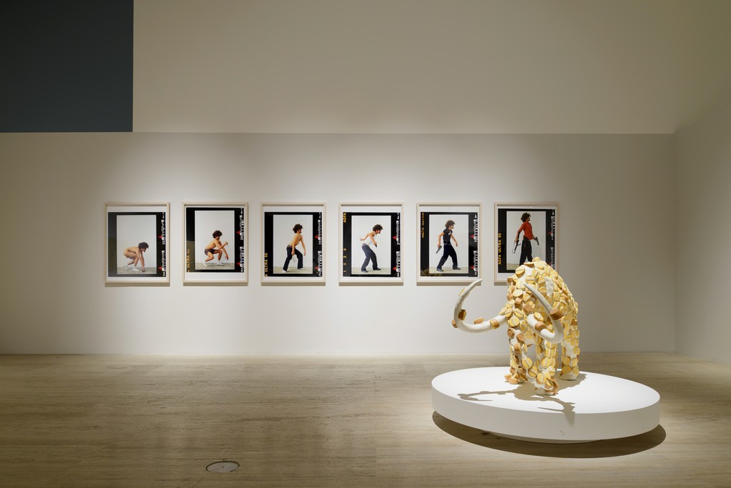Installation view of “The Natural Order of Things” at Museo Jumex, Mexico City (2016). Photo by Moritz Bernoully. Installation view of “The Natural Order of Things” at Museo Jumex, Mexico City (2016). Photo by Moritz Bernoully.