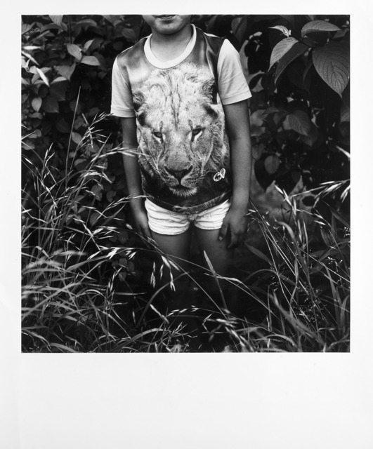 Issei Suda, ‘Lion’, 1970 ca., Il Ponte