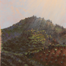 Stephen Hannock