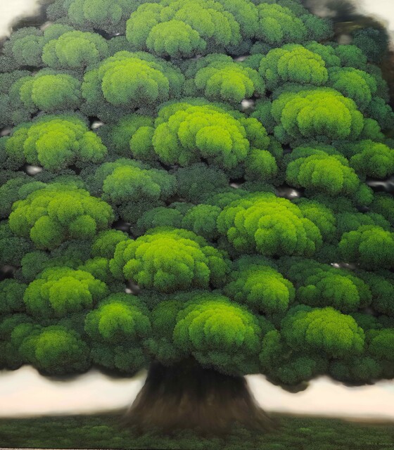 image-zoom
