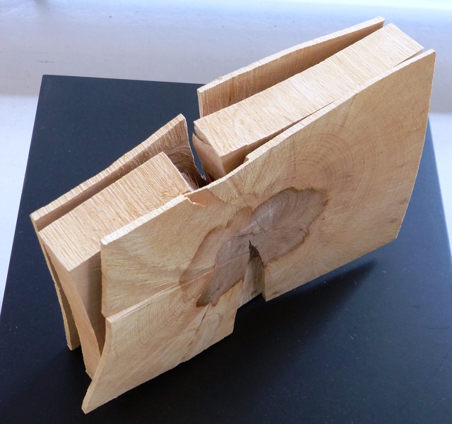 Urs P.-Twellmann, ‘Buche Dreilagig’, 2016, GALERIE URS REICHLIN