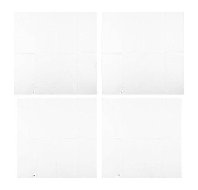 image-zoom