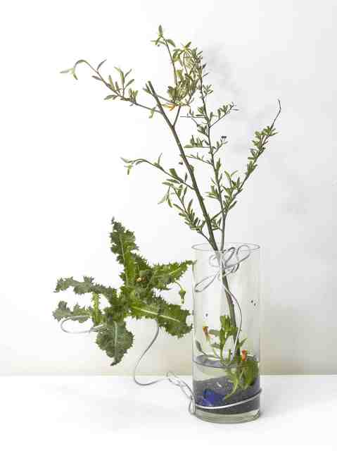 Yahui Wang, ‘A work for a building plot: Make a flower arrangement for me ’, 2011, TKG+