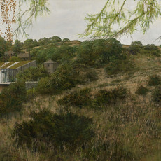Martin Greenland