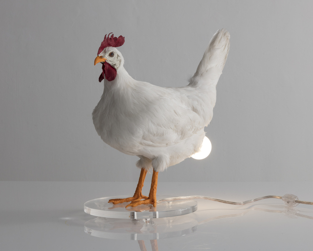 Sebastian Errazuriz, ‘Chicken Lamp. Taxidermy chicken and electrical components. ’, 2018, R & Company