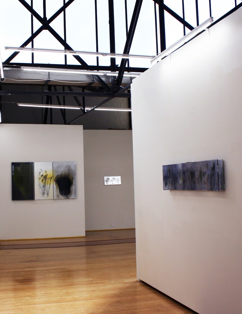 Installation View, Janet Laurence 'Works from the Kimberly trip' Installation View, Janet Laurence 'Works from the Kimberly trip'