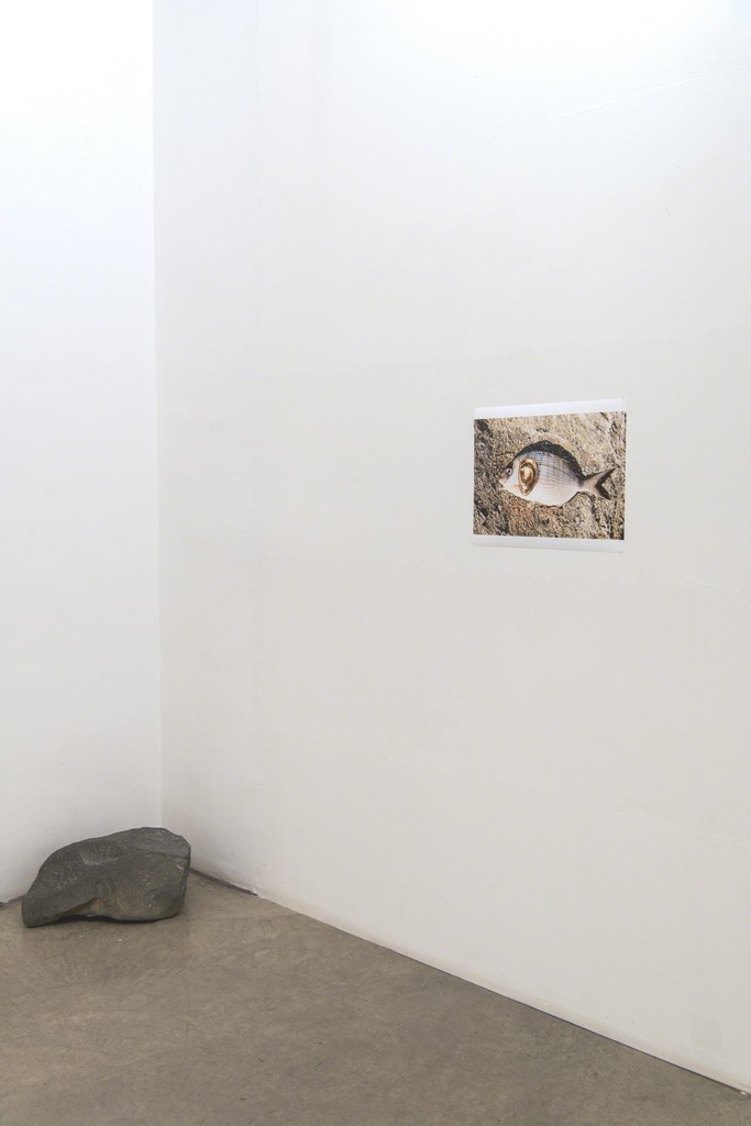 Exhibition view JUERGEN TELLER, 2018
Christine König Galerie, Vienna Exhibition view JUERGEN TELLER, 2018
Christine König Galerie, Vienna