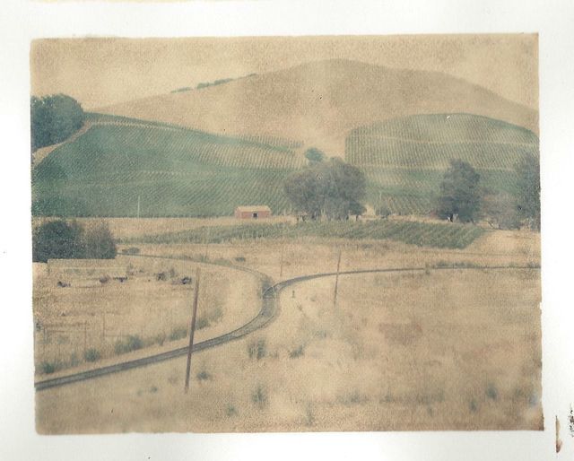 John Huggins, ‘Vineyard’, 1997, Sears-Peyton Gallery