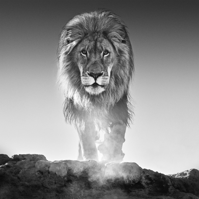 David Yarrow, ‘The Old Testament’, 2017, Hilton Asmus