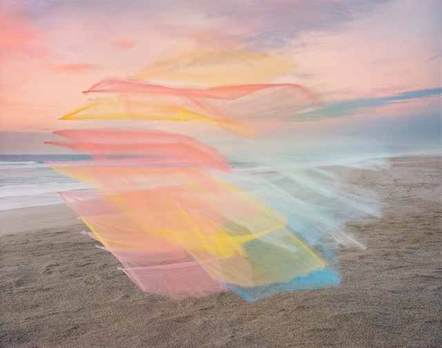 Thomas Jackson (b.1971), ‘ Tulle no. 23, Point Reyes National Seashore, California’, 2020, Photography, Archival pigment print, Jackson Fine Art
