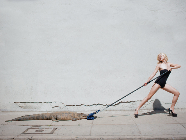 Tyler Shields, ‘Birkin Tug of War’, 2012, Photography, Chromogenic Print, Samuel Lynne Galleries
