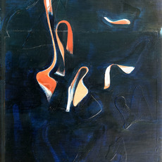 Elmira Iravanizad