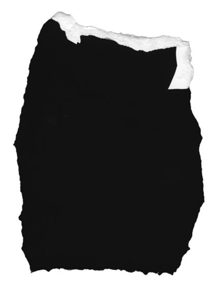 Bettina von Zwehl, ‘The Followers CXV’, 2017-2018, Print, Pigment print on museum etching paper, Purdy Hicks Gallery