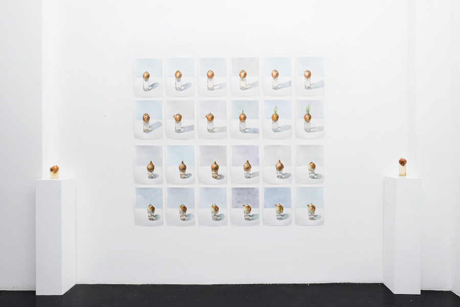 Nikita Alexeev, Images and their Entities, 2016, Installation view at Otto Zoo. Courtesy Otto Zoo. Photo Luca Vianello Nikita Alexeev, Images and their Entities, 2016, Installation view at Otto Zoo. Courtesy Otto Zoo. Photo Luca Vianello
