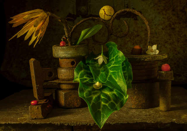 Allan Markman, ‘Offering’, Soho Photo Gallery