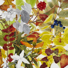 Soyoun Jeong