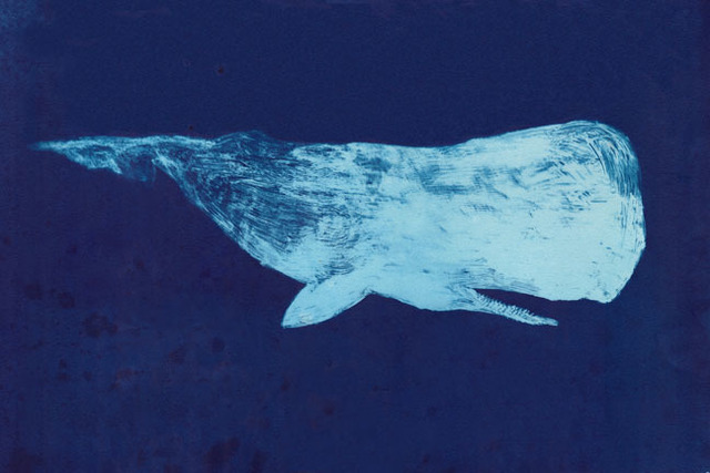 Scott Bluedorn, ‘Moby Dick of the Deep’, Print, Cyanotype print, ARC Fine Art LLC