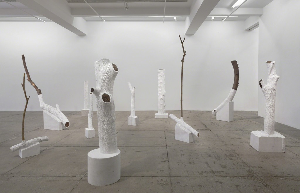 Giuseppe Penone: Indistinti confini/ Indistinct Boundaries; Installation View; Marian Goodman Gallery, New York; March 18 – April 25, 2015 Giuseppe Penone: Indistinti confini/ Indistinct Boundaries; Installation View; Marian Goodman Gallery, New York; March 18 – April 25, 2015