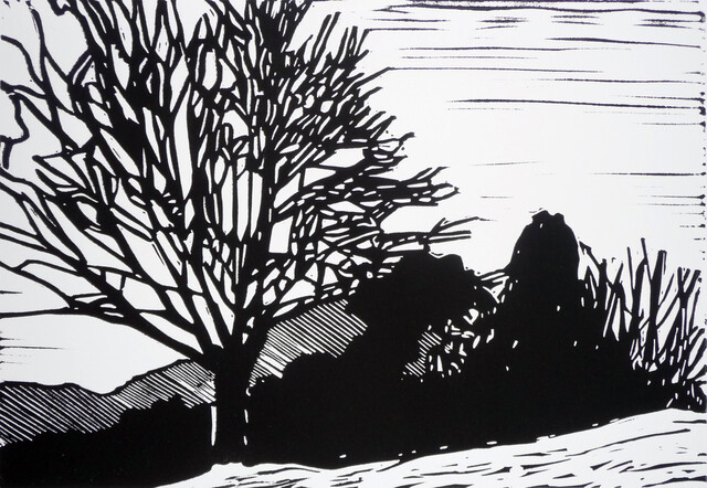Mark Rowden