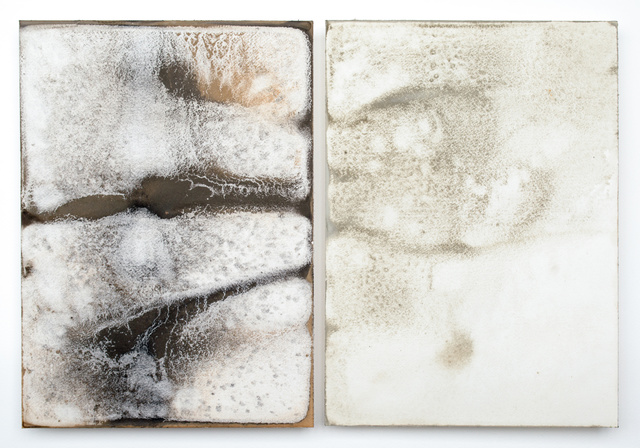 Shinji Turner-Yamamoto, ‘Sidereal Silence: Irish Study #36 (diptych)’, 2015, Sapar Contemporary