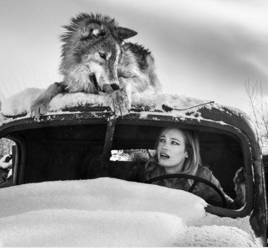 David Yarrow, ‘A Street Car Named Desire 3’, 2018, Photography, 315gsm Hahnemuhle Photo Rag Baryta Paper, Isabella Garrucho Fine Art