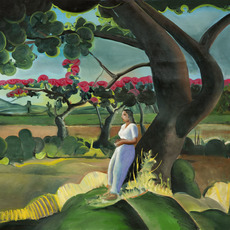 Shibu Natesan