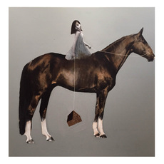 Anke Schofield