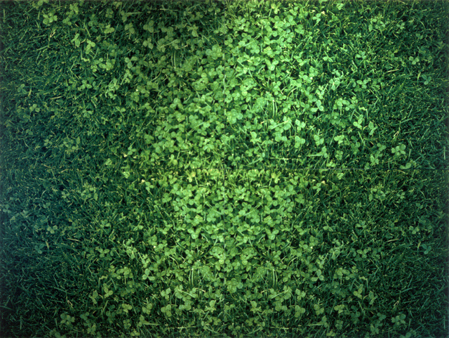 Anne Veraldi, ‘The Great Lawn, Central Park, New York’, 2002, Photography, C Print, Fouladi Projects