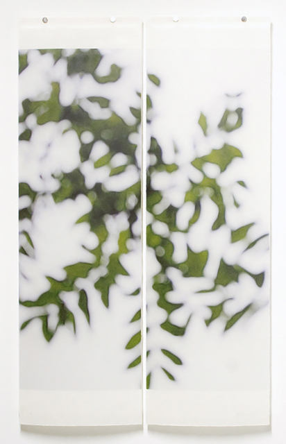 Jeri Eisenberg, ‘Summer Greens No. 3’, 2008, Carrie Haddad Gallery