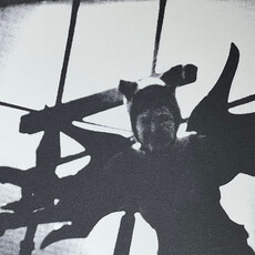 Kate Craig