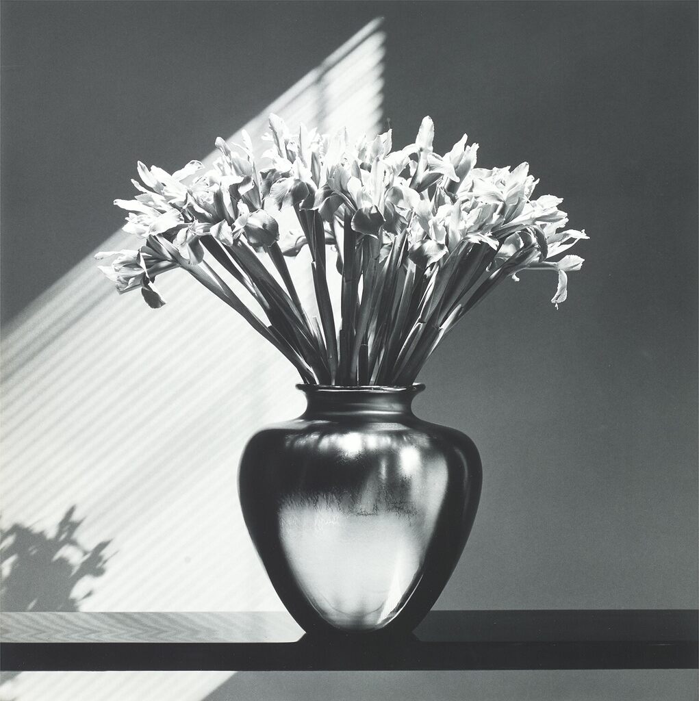 Robert Mapplethorpe - Irises