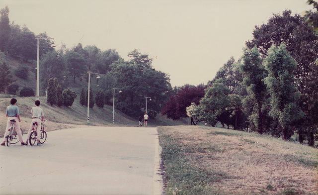 Luigi Ghirri, ‘Giardini quartiere QT8’, 1987, Photography, Vintage chromogenic painted print, Finarte