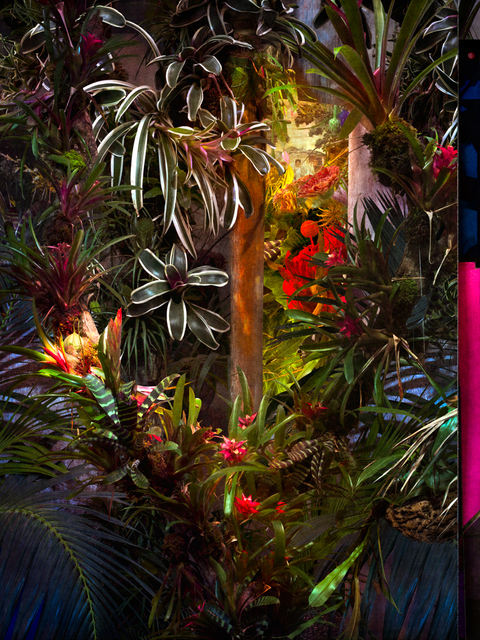 Cooper & Gorfer, ‘Picture of a Garden’, 2018, Photography, Archival pigment print, Larsen Warner