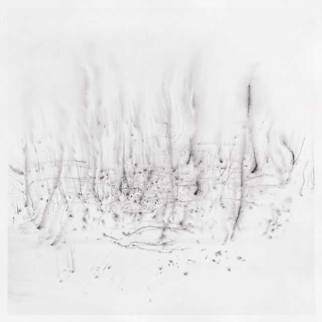 Untitled 31 — Çağla Köseoğulları (2018)