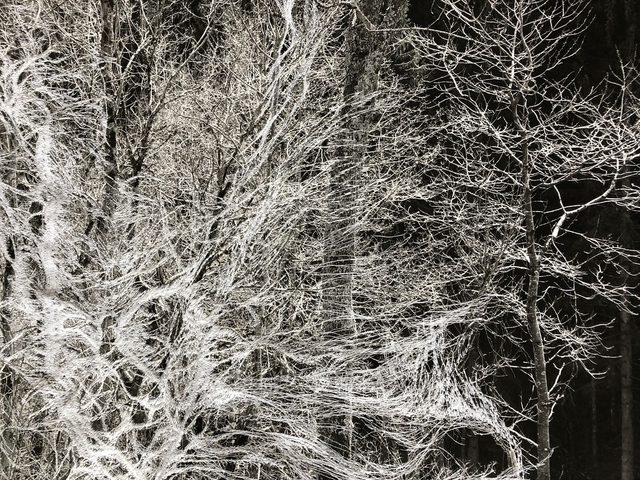 liliana gassiot, ‘Embroidered landscape #1’, 2018, Galerie Céline Moine & LGFA