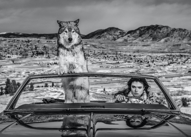 David Yarrow, ‘The Richest Hill in the World’, 2020, Photography, Digital Pigment Print on Archival 315gsm Hahnemuhle Photo Rag Baryta Paper, Isabella Garrucho Fine Art